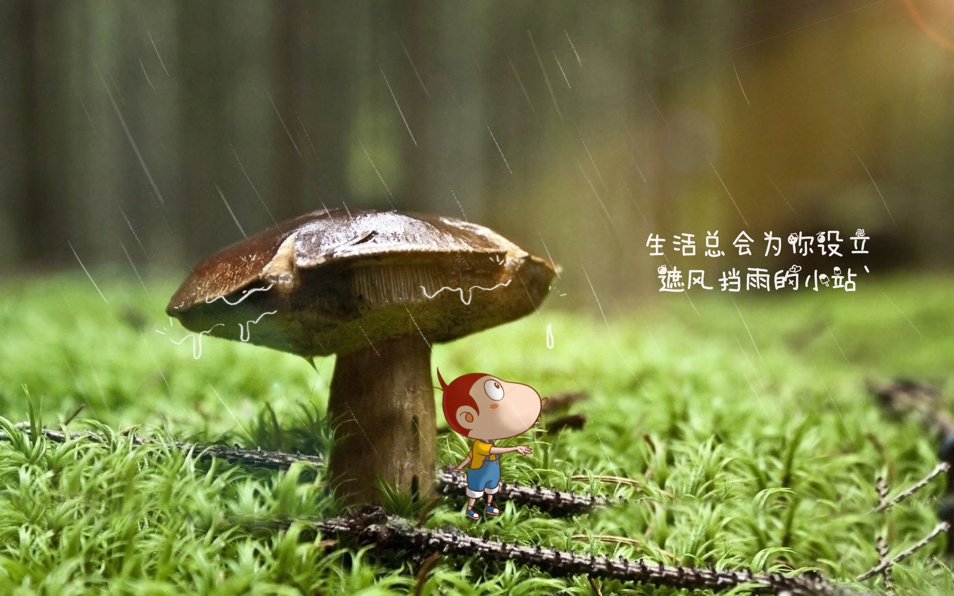 国际体操挑战赛中国小花获平衡木金牌，中国体操平衡木奥运冠军